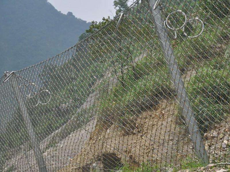 邊坡錨固防護網